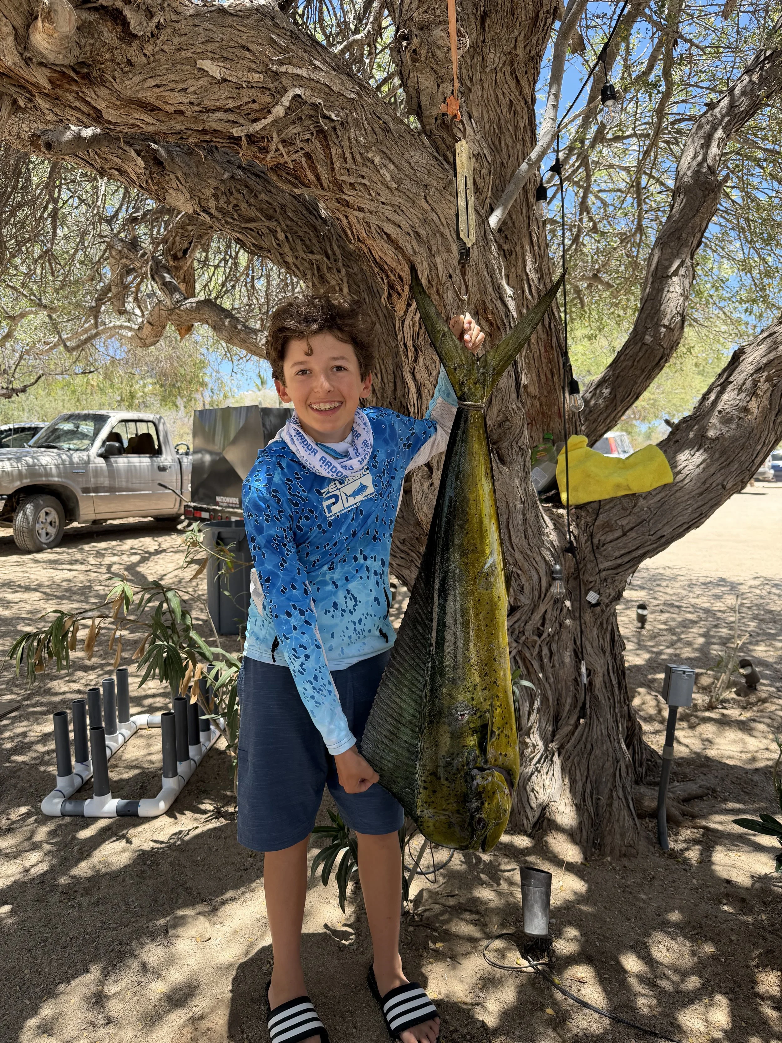 Dorado, 20 pounds, June 2026