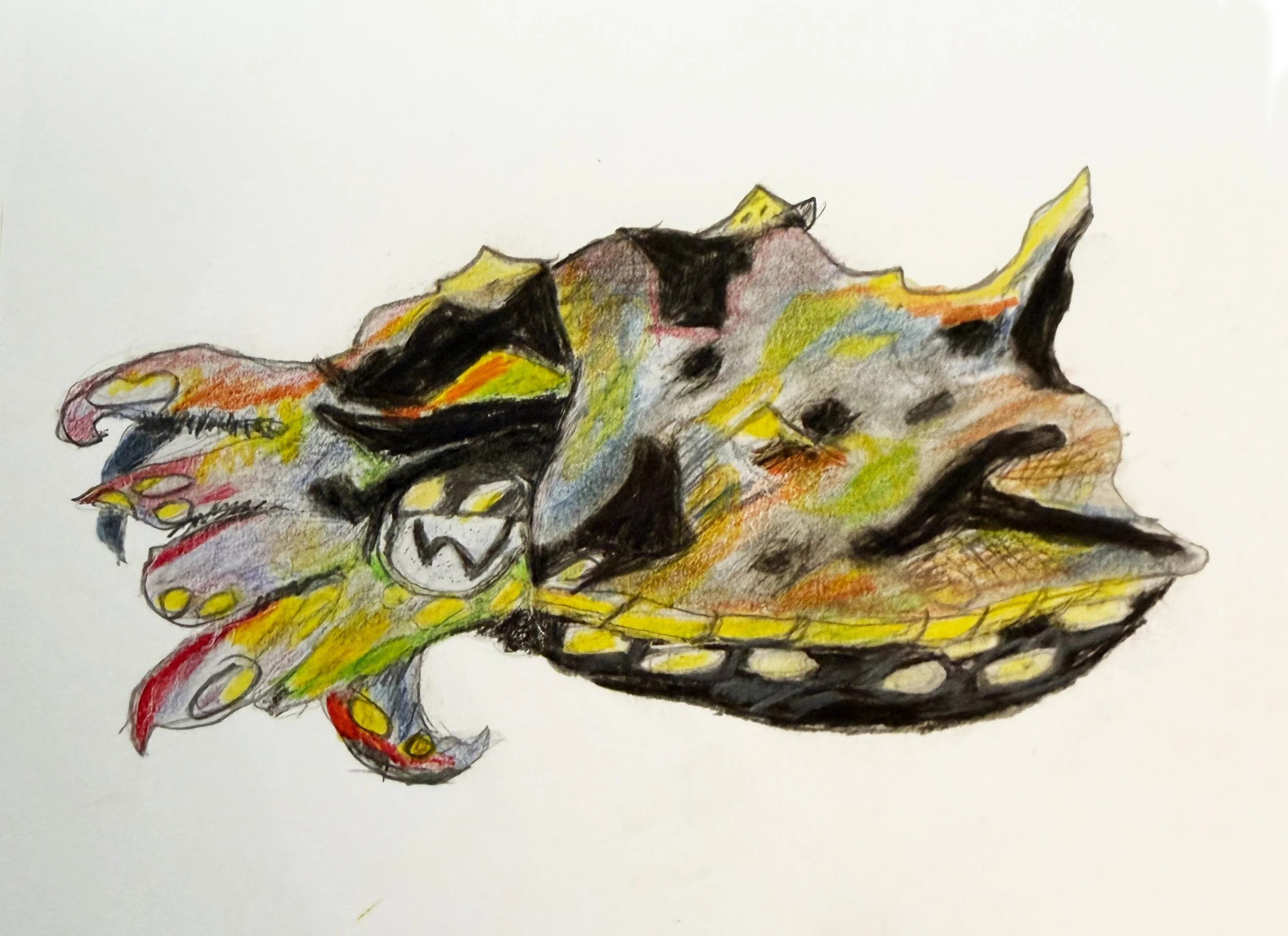 IMG_1527.jpeg