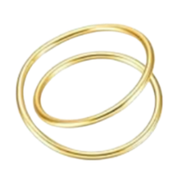 Gold Napkin Ring