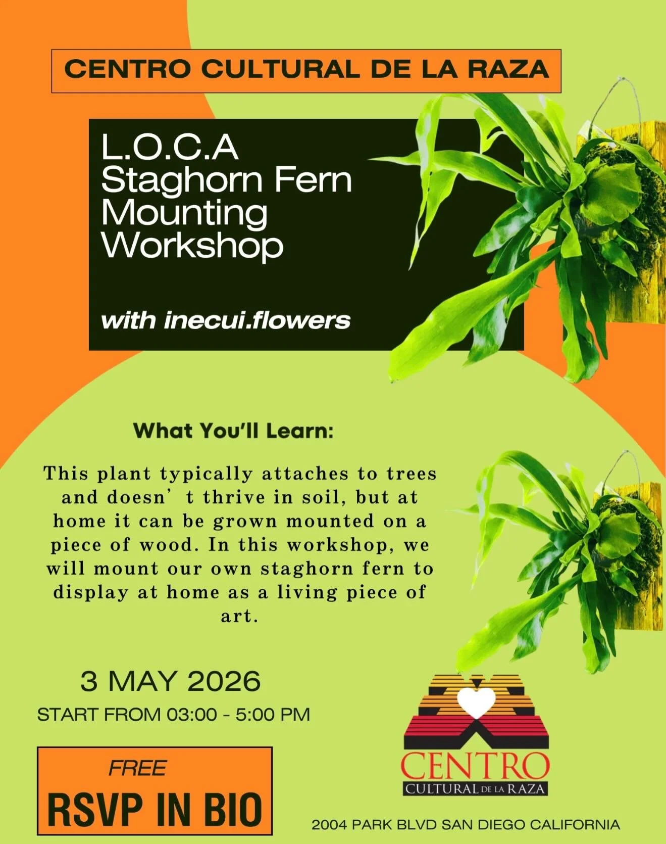 Our founding principles include making arts and culture fully accessible. Love of Community Arts (LOCA), our arts and crafts workshop program, is offered at least once a month, free of cost (no entry fee and all materials provided), and open to the c