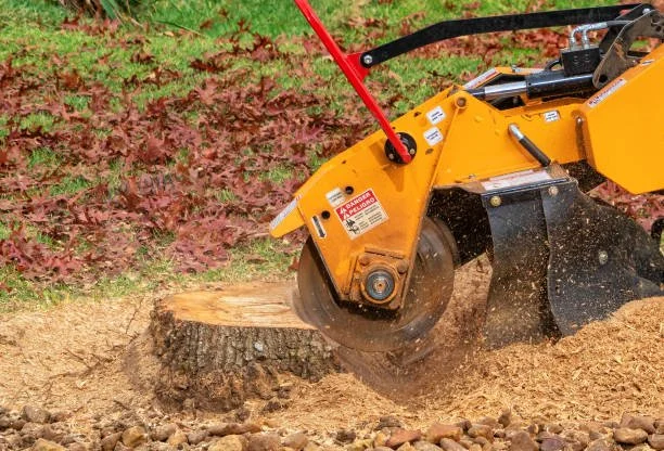 Liberty Operations Stump Grinding in New Kent, VA and surrounding areas. 
A yellow stump grinder with a large blade cutting into a tree stump, with wood chips and sawdust flying around.