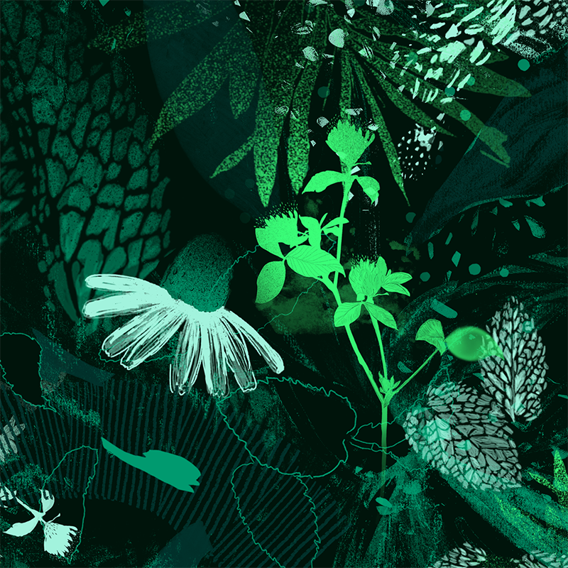 6nature.png