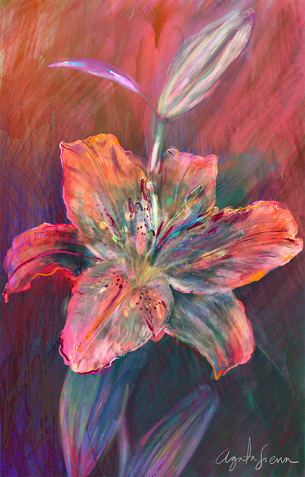 IMG_1441.png