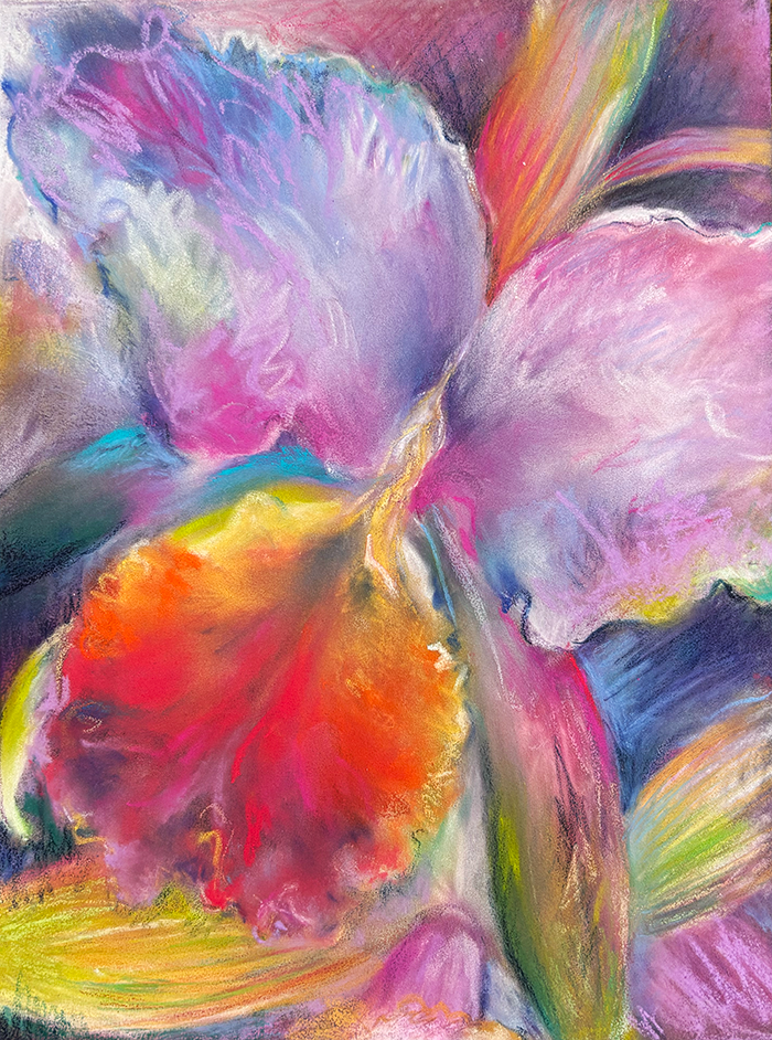 Work from the Jardins Migratoires (Migratory Gardens) series. Soft pastels on paper, 18 × 24 cm.