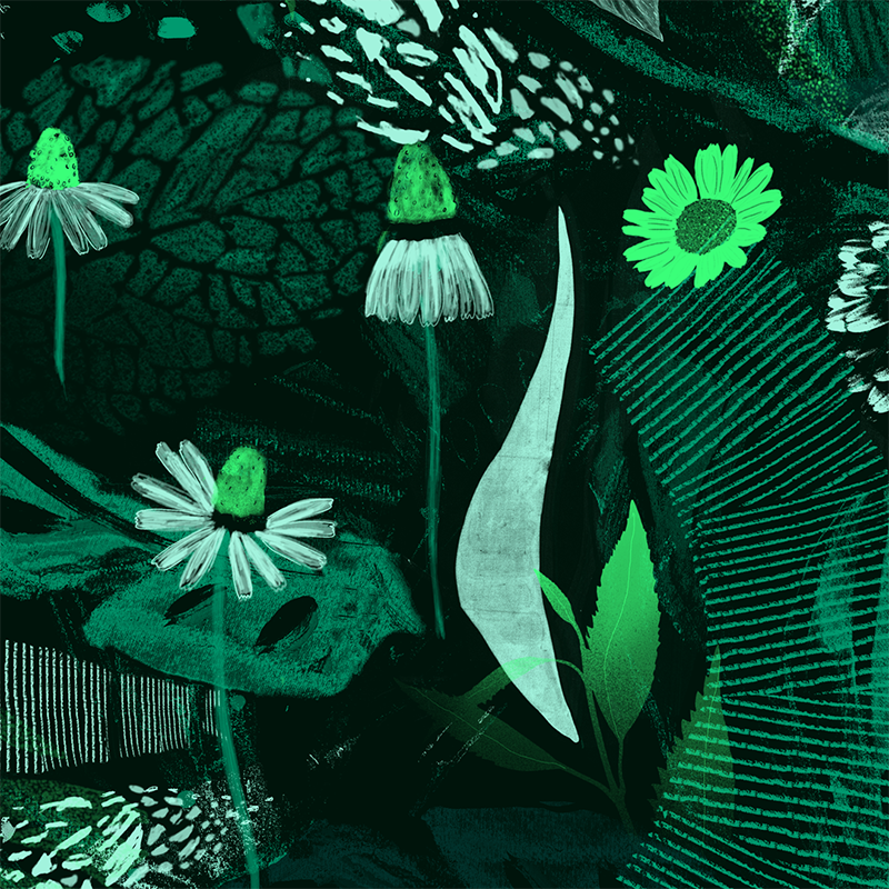 5nature.png