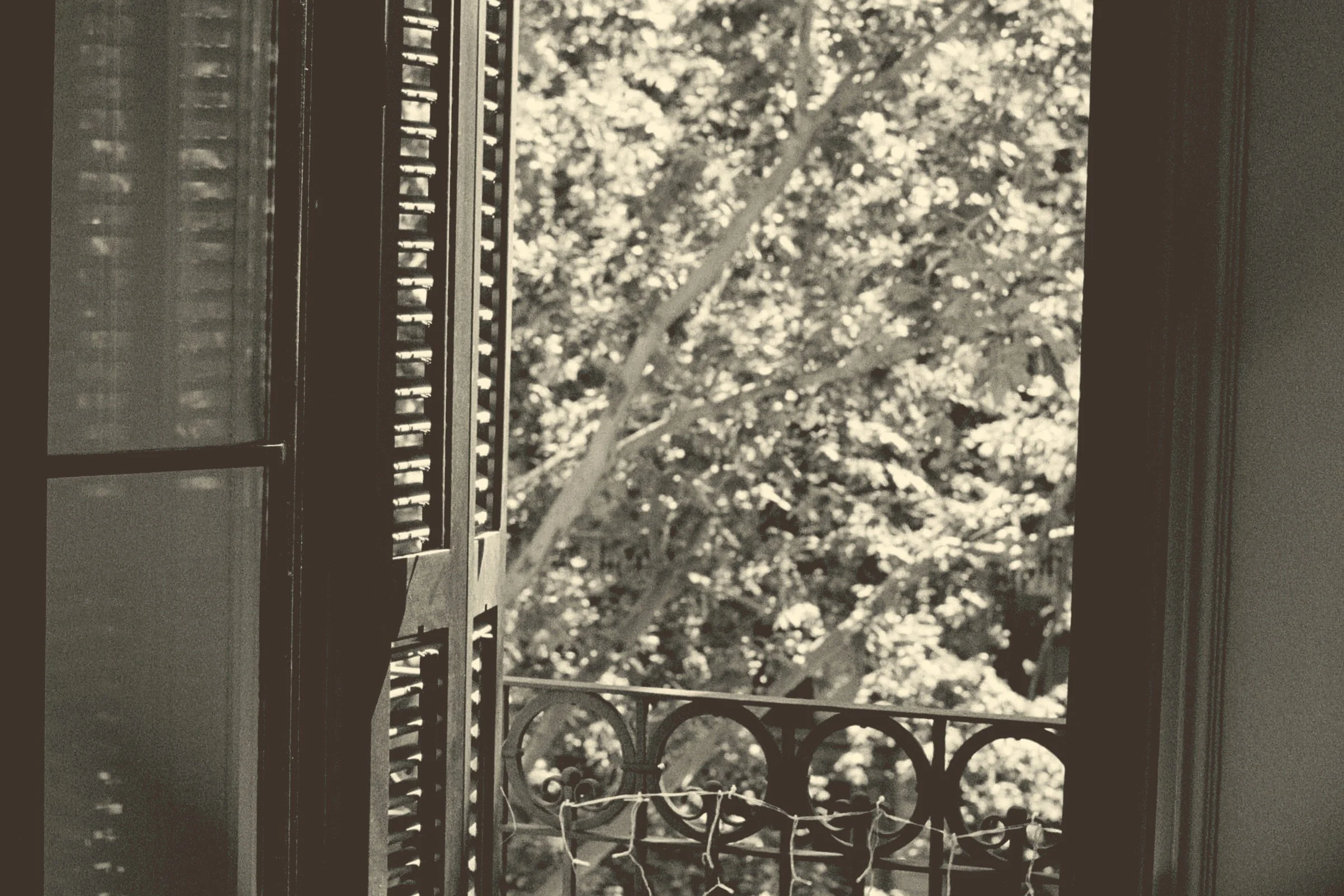 Nurturing a Strong Foundation: The Power of Honest Conversations Before Marriage