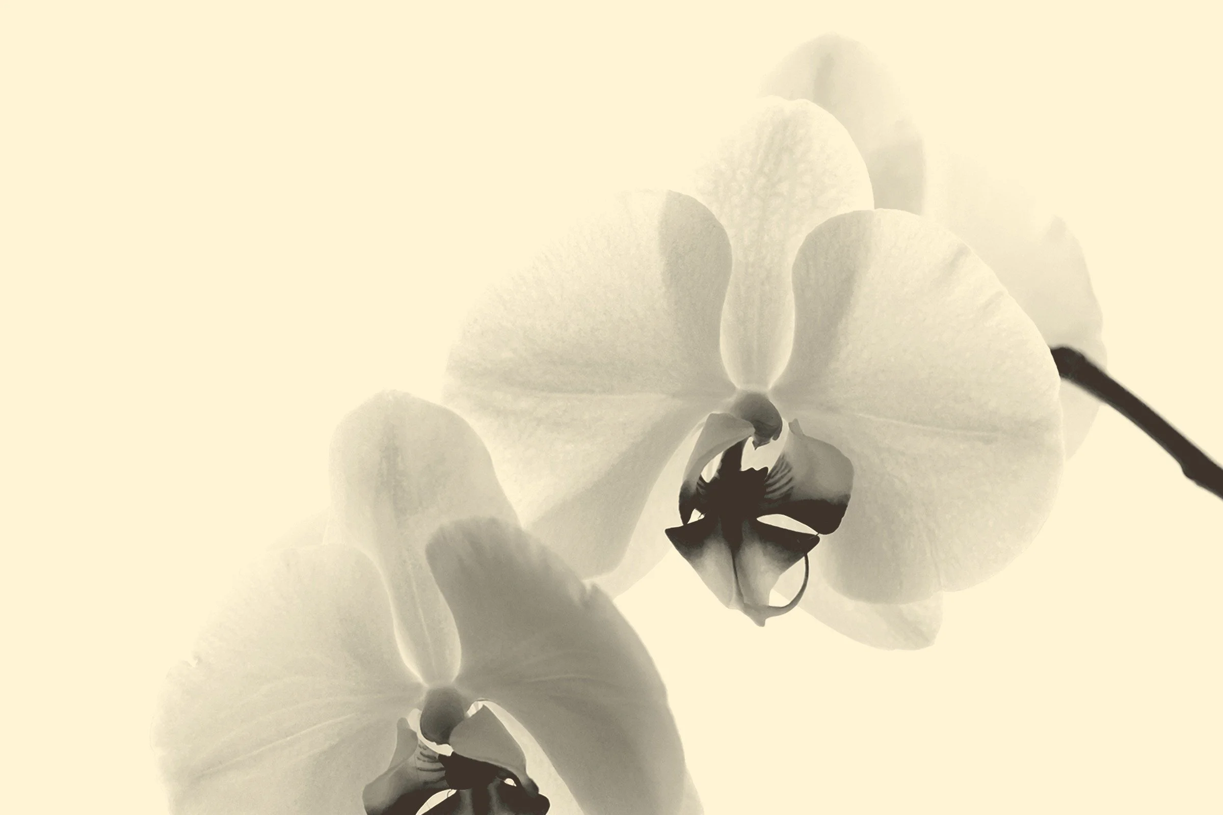 Reviving Intimacy: Overcoming Physical and Emotional Blocks in Your Relationship
