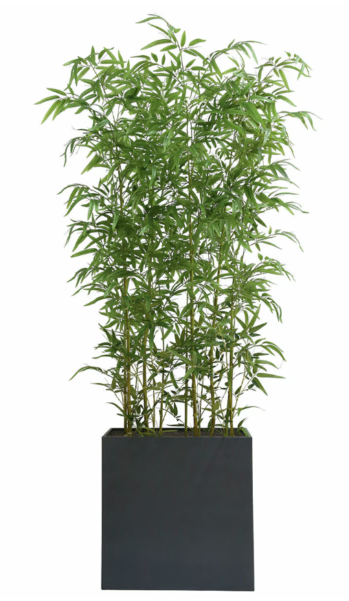 Captura de pantalla 2026-04-11 a la(s) 1.58.58 p.m..png
