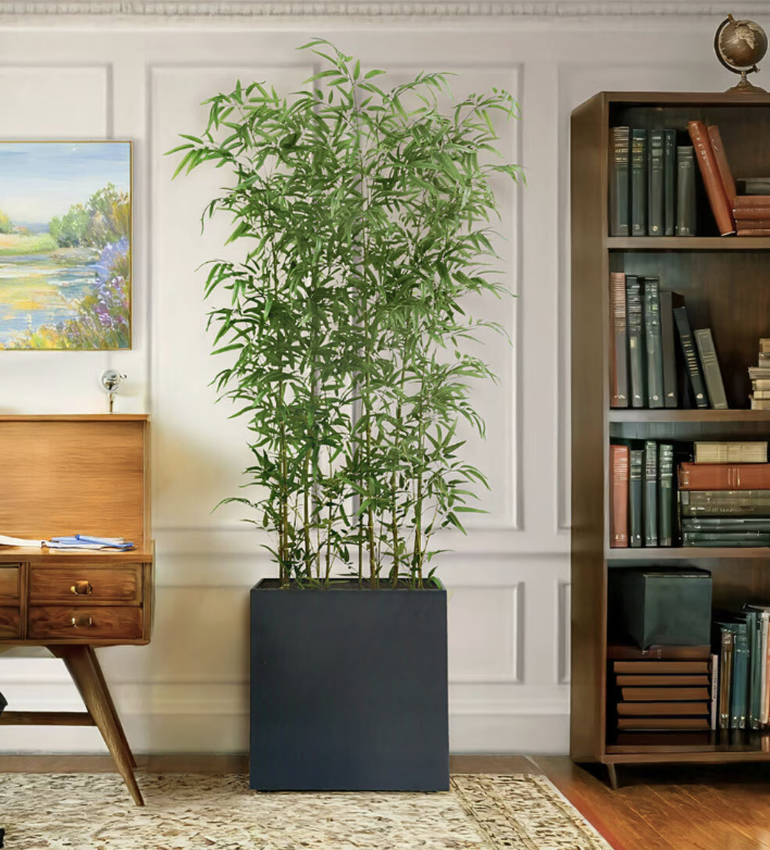 BAMBU DE ASPECTO NATURAL 2M ALTURA