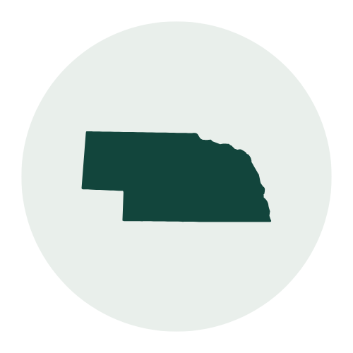 Icon of the state of Georgia in dark green on a light background.