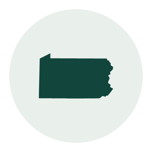 Silhouette of the state of Arkansas against a light background.