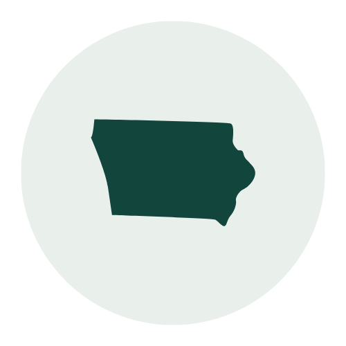 Silhouette of the state of Georgia in dark green on a light background