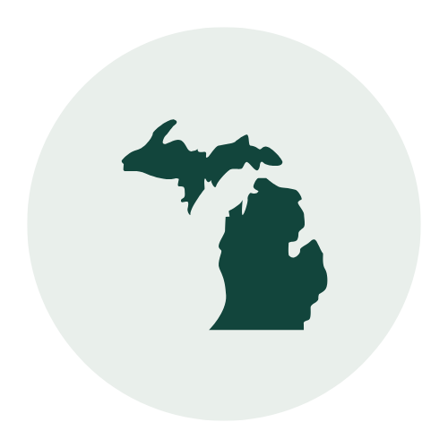 Map of Michigan with a dolphin swimming around it.