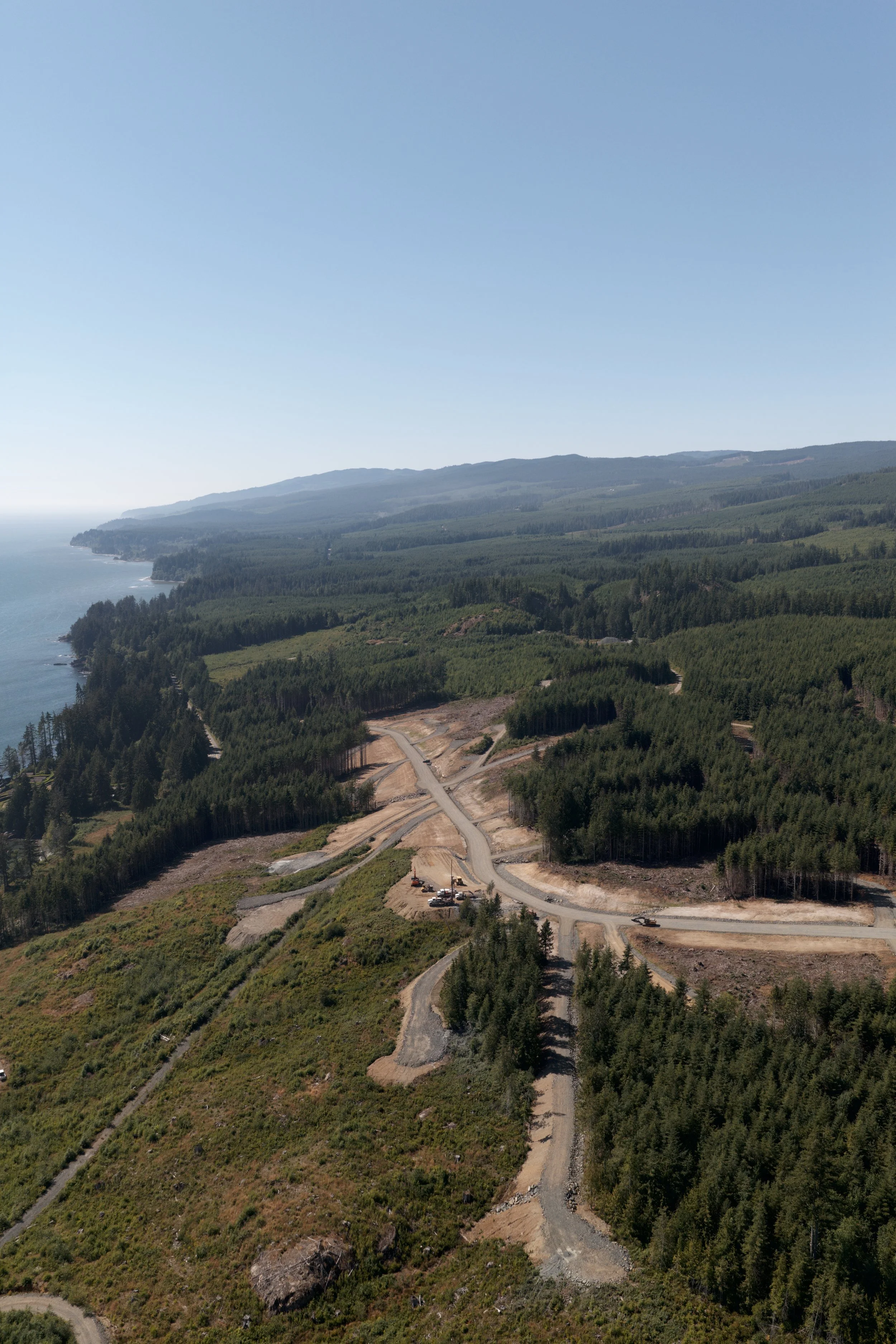 A coastal landscape with a partly cleared forest area, winding dirt roads, and a distant ocean under a clear blue sky.