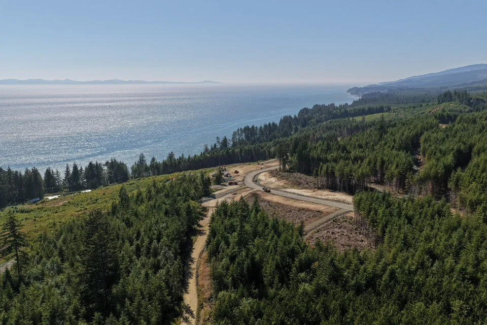 Aerial view of a winding dirt road through a green forest on a hillside overlooking a large body of water, possibly a lake or ocean, with distant mountains and a hazy sky.