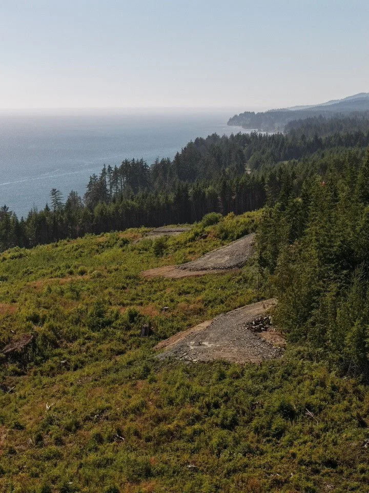 A scenic coastal view featuring dense green trees, rocky patches, and the ocean in the distance under a clear sky.