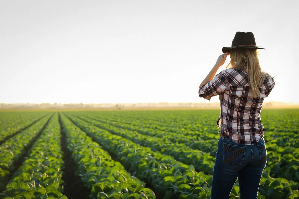 Woman looking over field.