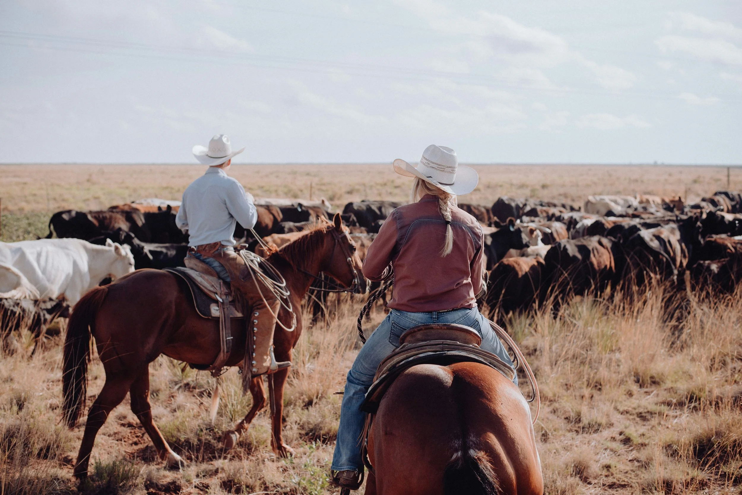 Two women riding horses oversee a herd of cattle in a wide open plains landscape under a partly cloudy sky.