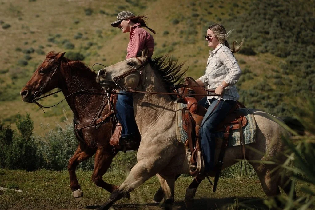 A true workhorse behind the bar—smooth, balanced, and versatile enough to stand on its own or elevate any cocktail.