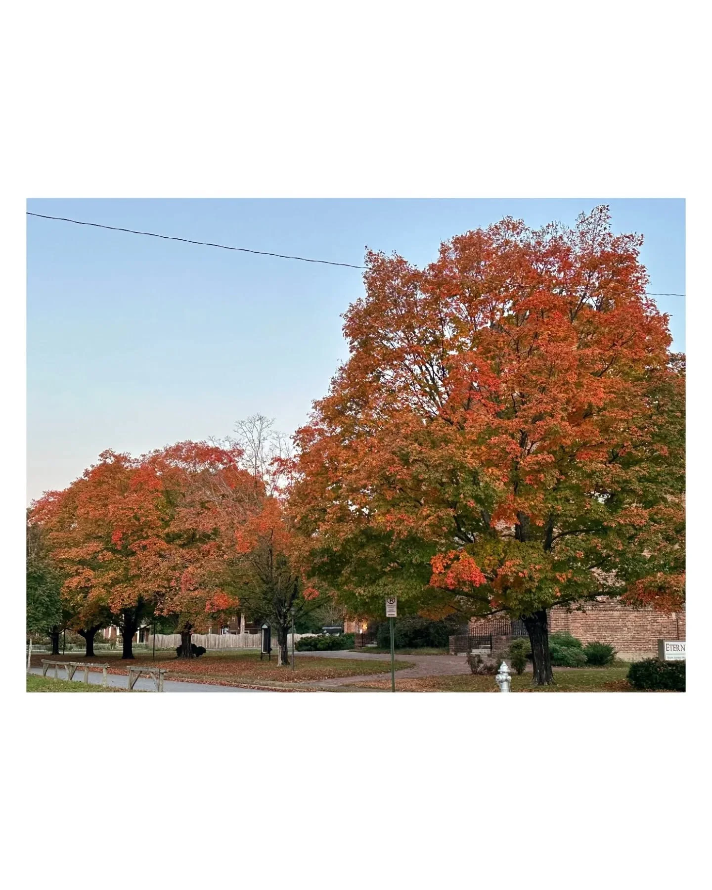 One of the perks to having wild work hours is sometimes getting to see sunrises and beautiful morning sun on fall trees after early morning births. 

So many labors begin after dark. So many babies are born overnight in the quiet hours of the night. 