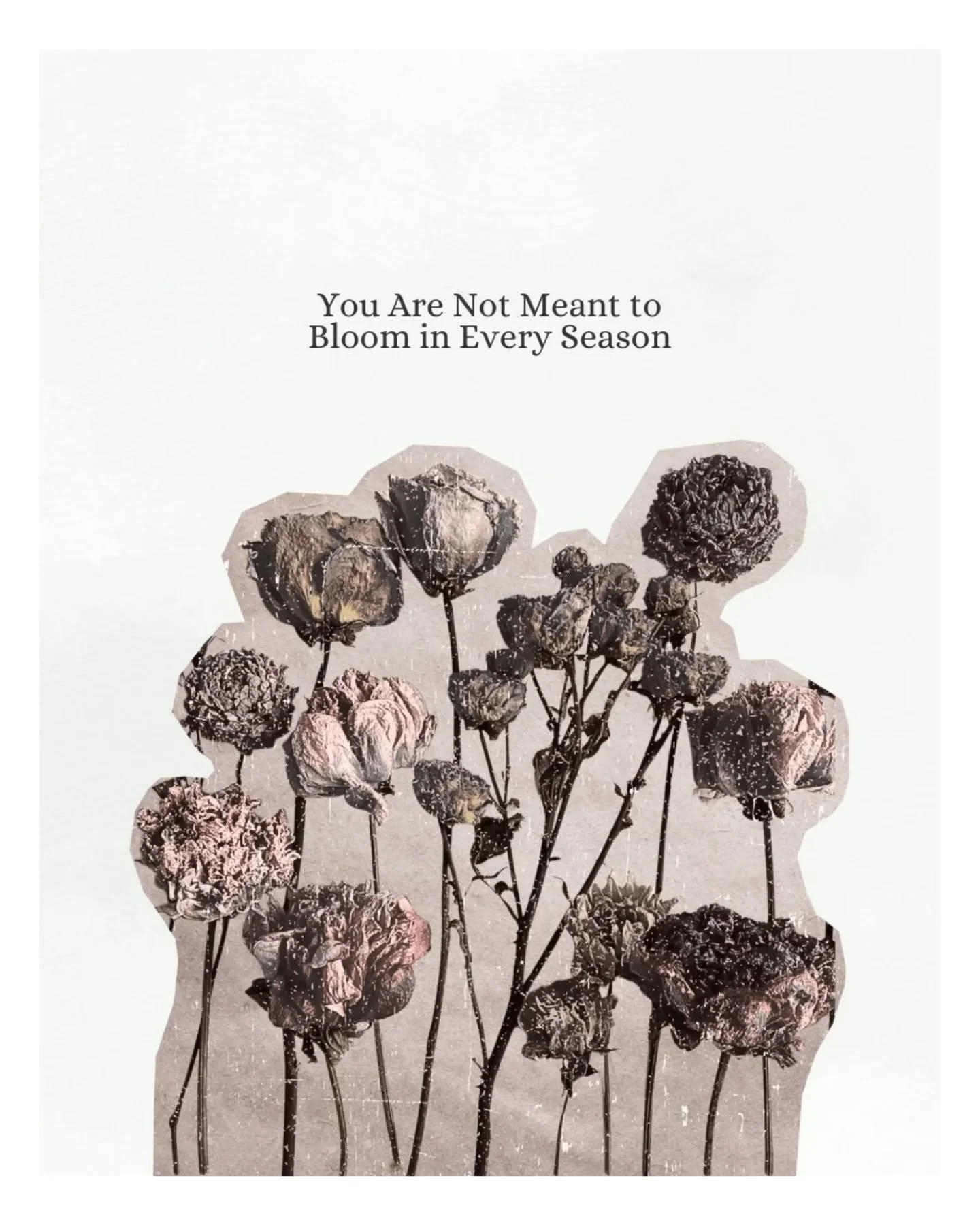 Nature doesn&rsquo;t rush to prove her worth in winter&mdash;she trusts the quiet to do its work. 

We are no different. 

This is our reminder that slowing down isn&rsquo;t stopping; it&rsquo;s rooting. 

We&rsquo;re letting The Studio rest, trustin