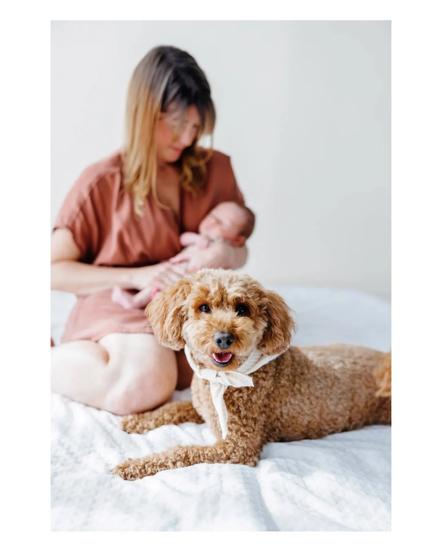 If your dog or cat was your first baby, they absolutely deserve to be in your newborn photos too&mdash;some of my favorite shots are the ones where the family pet is cautiously sniffing or protectively watching over the newest addition. 

We'll keep 