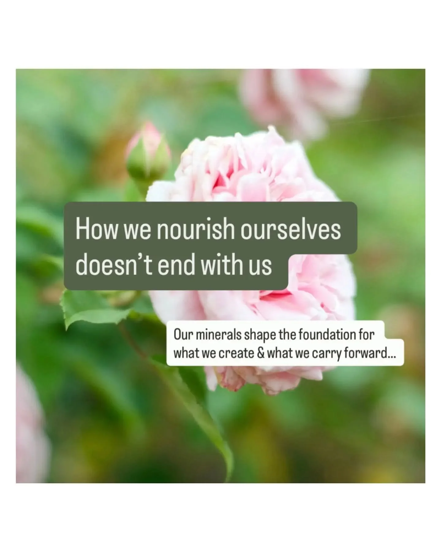 If HTMA is like soil testing for the body, then I think of mineral balancing as regenerative health.

We look at the terrain. We notice patterns. We become curious about what may need more support. And rather than constantly asking the body to push h