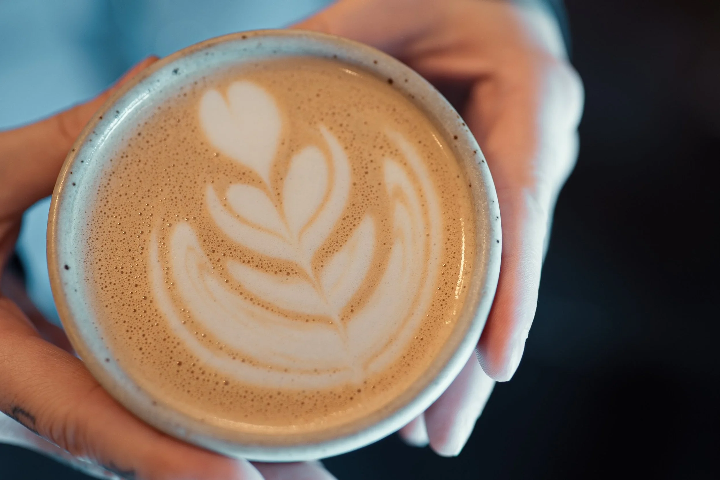 After seeing the impact of the storm and hearing about so many friends, neighbours, and families dealing with flooded homes and basements this past week, we wanted to do something small to help.

On Tuesday, August 4th, from 9:00 AM&ndash;5:00 PM, st