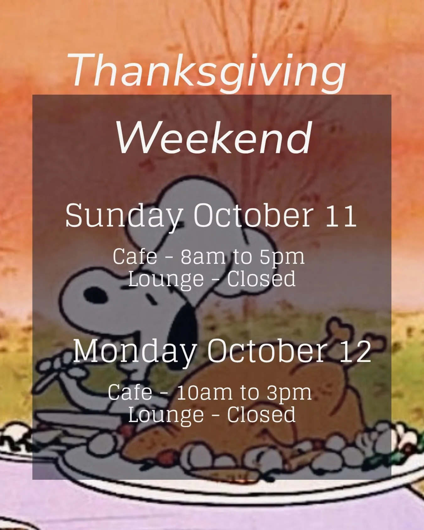 Our thanksgiving hours this weekend!