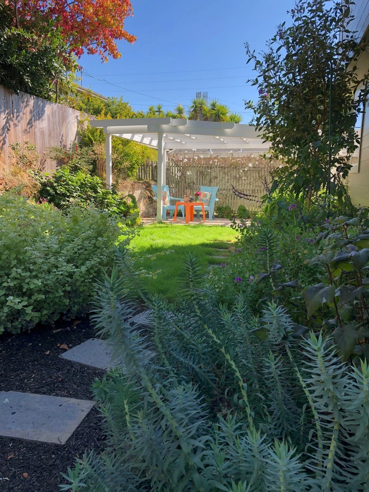 Backyard garden with a lush green lawn, surrounded by various plants and shrubs. In the background, a white pergola with a patio table and four chairs, two blue and two orange, is set under the pergola. A wooden fence and trees with autumn-colored leaves are also visible, with a clear blue sky overhead.