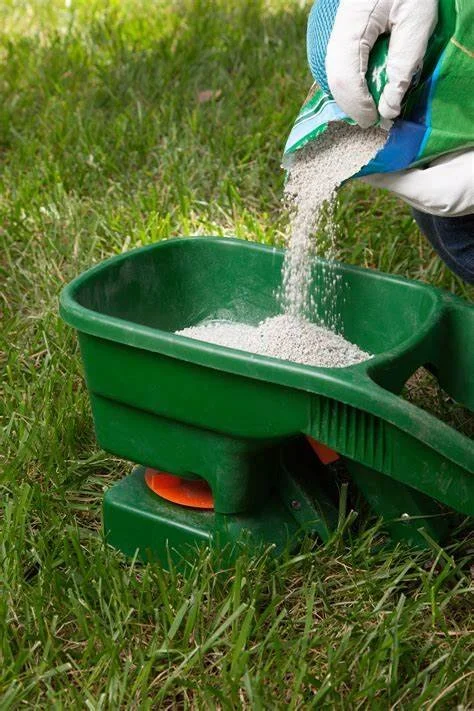 Person wearing gloves pouring white granular substance into a green seed sower on grass.