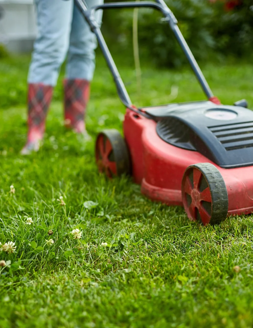 Person mowing the lawn with a red electric lawn mower on a green lawn.