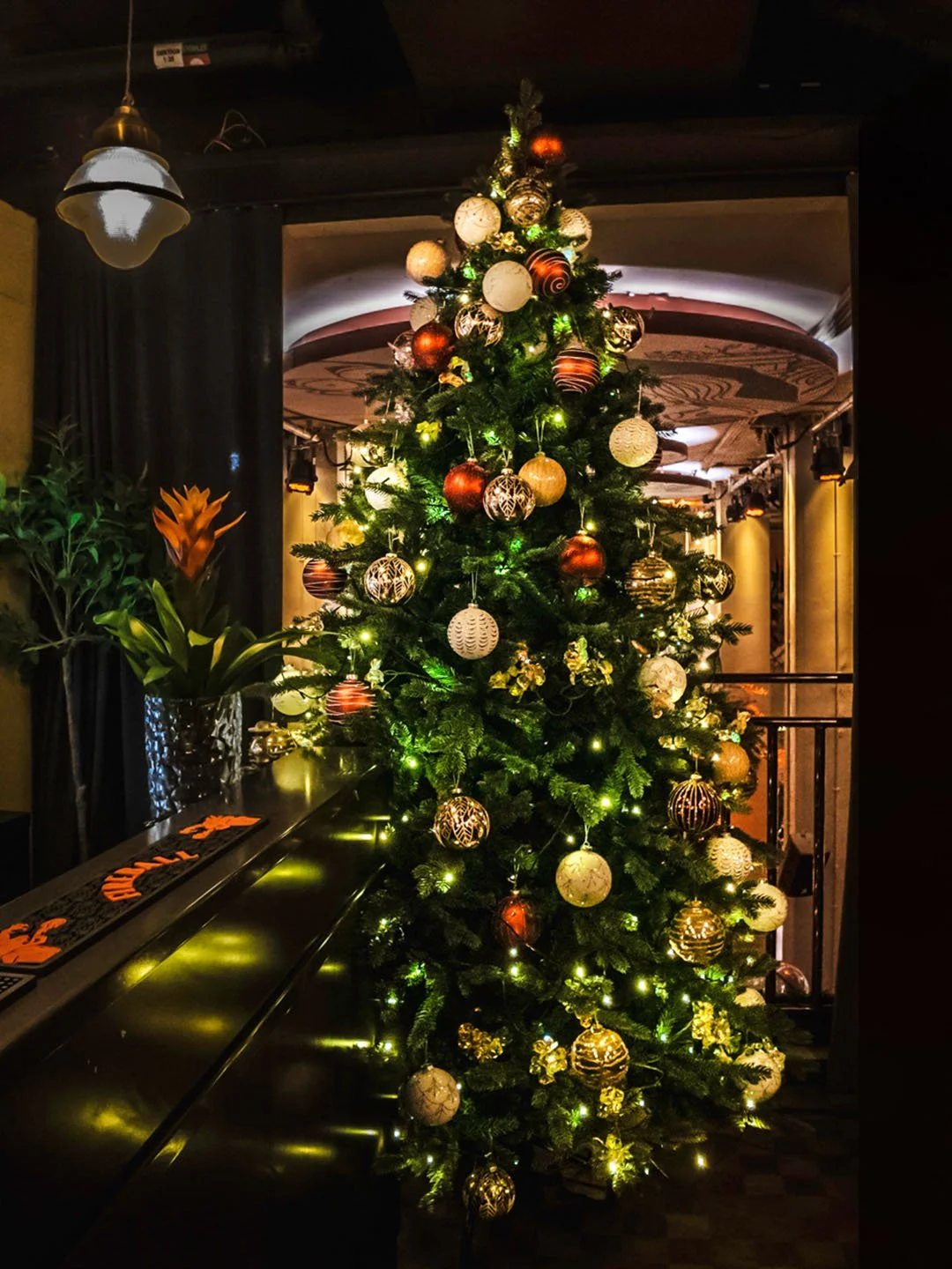 1BIB_JUL_MINIGEMOLL--9-2-topaz-sharpen-upscale-3 copy.jpg