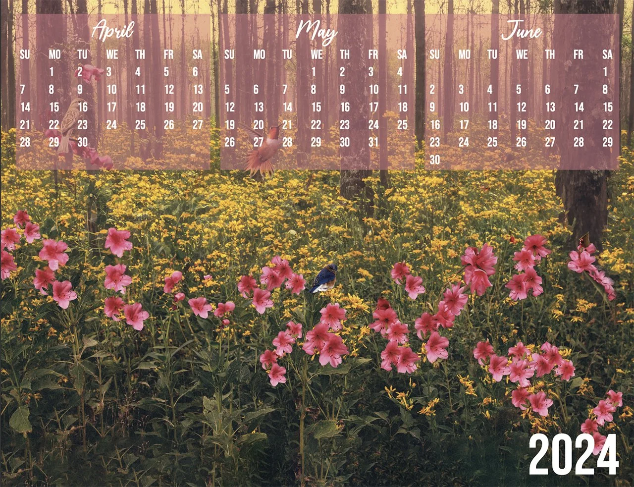Spring