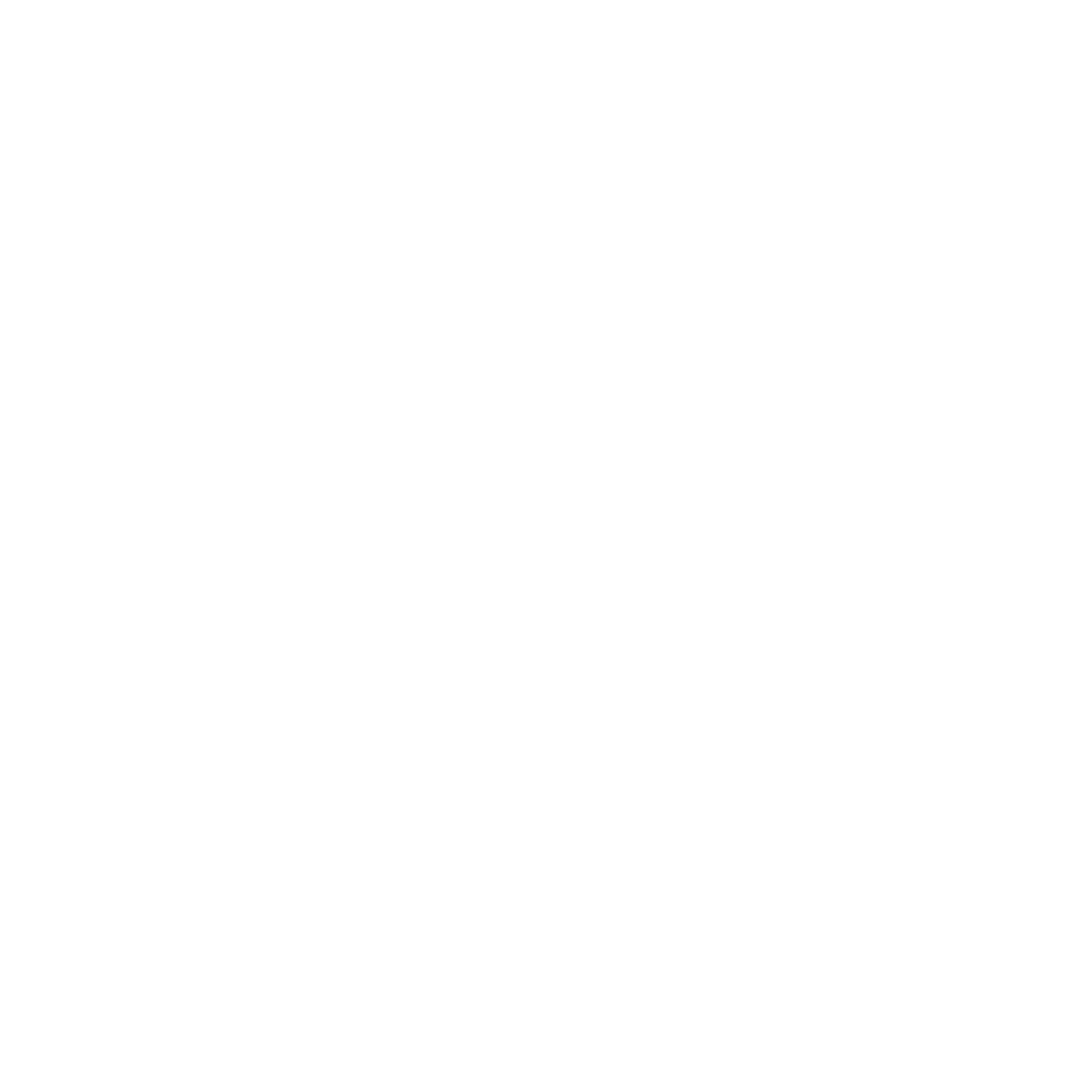Ellis Customs