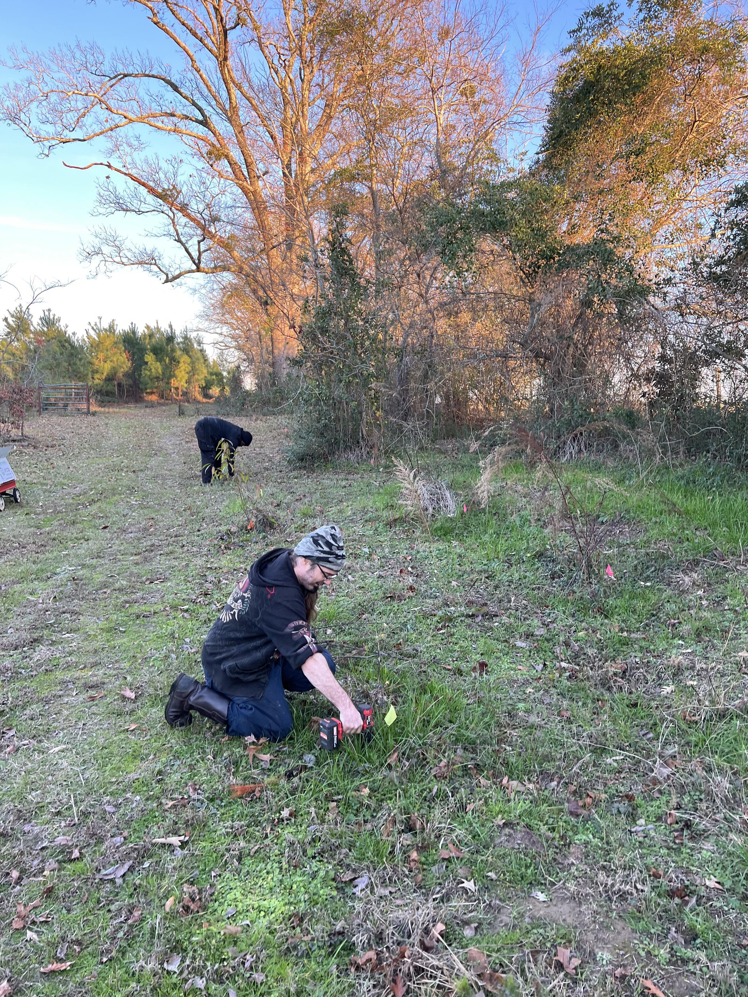 Planting Trees