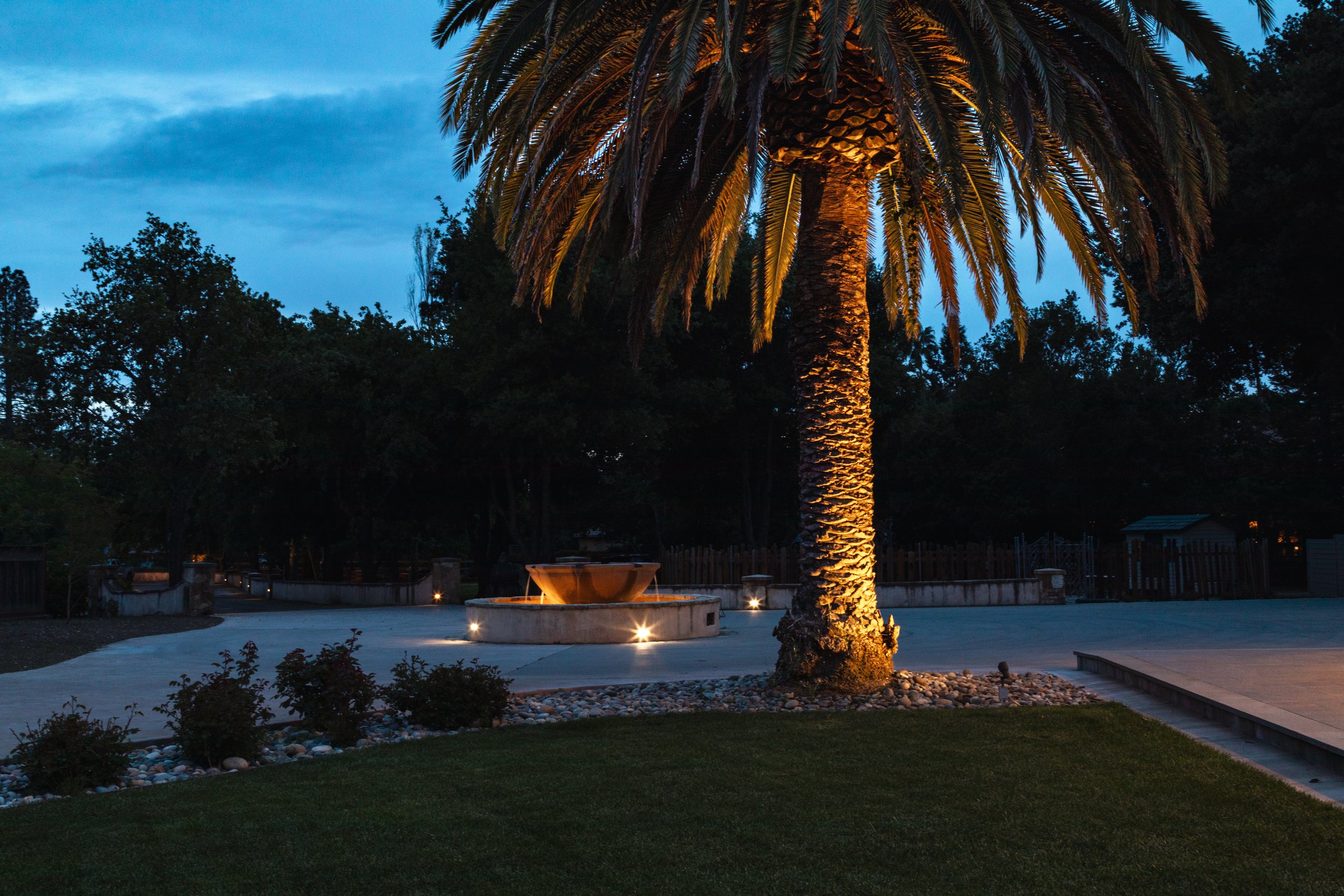 Nighttime scene of a lit palm tree with a fountain and a garden area, illuminated by landscape lighting.