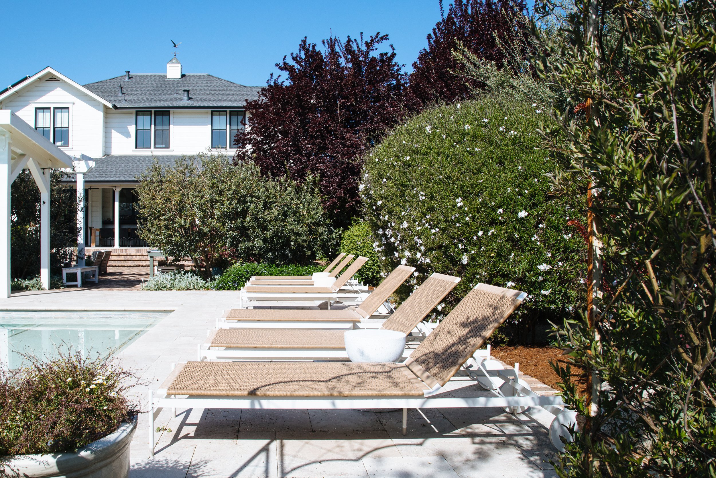 Empty poolside lounge chairs lined up beside a swimming pool surrounded by lush flowering bushes and a large white house in the background under a clear blue sky.