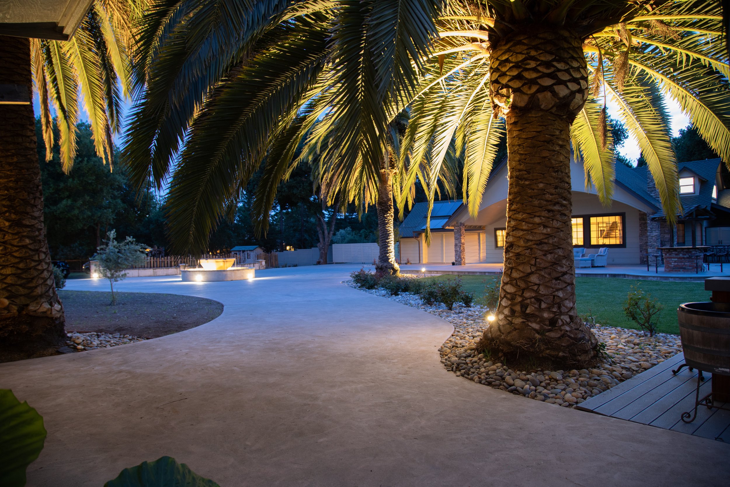 Nighttime view of a backyard with palm trees, a curved walkway, a lit fountain, and a house with warm-lit windows.