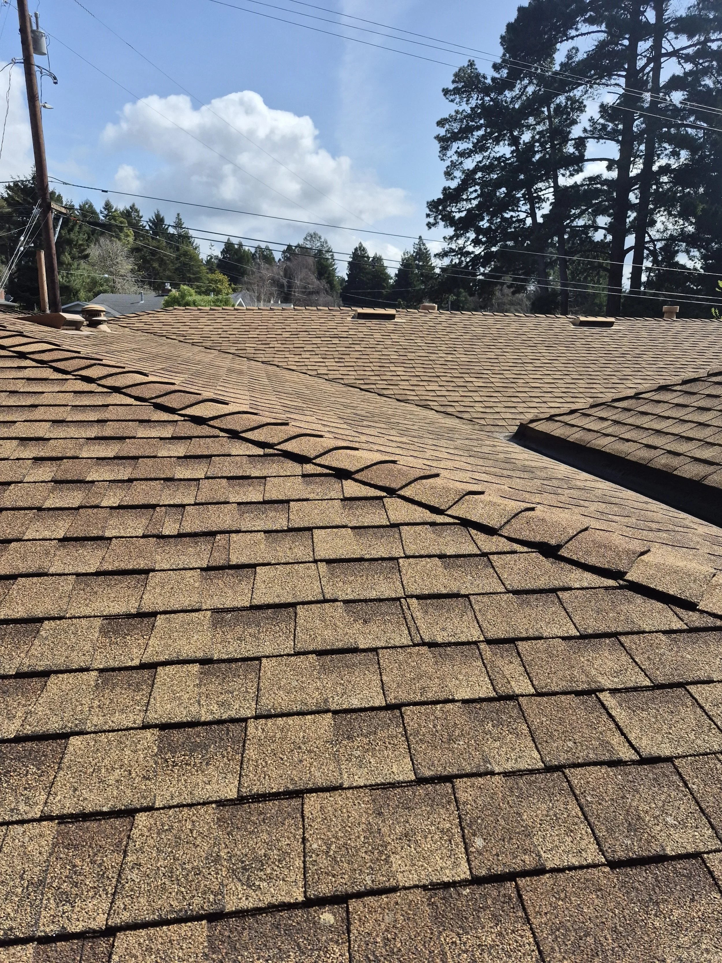 Asphalt shingle roof with trees and sky in background