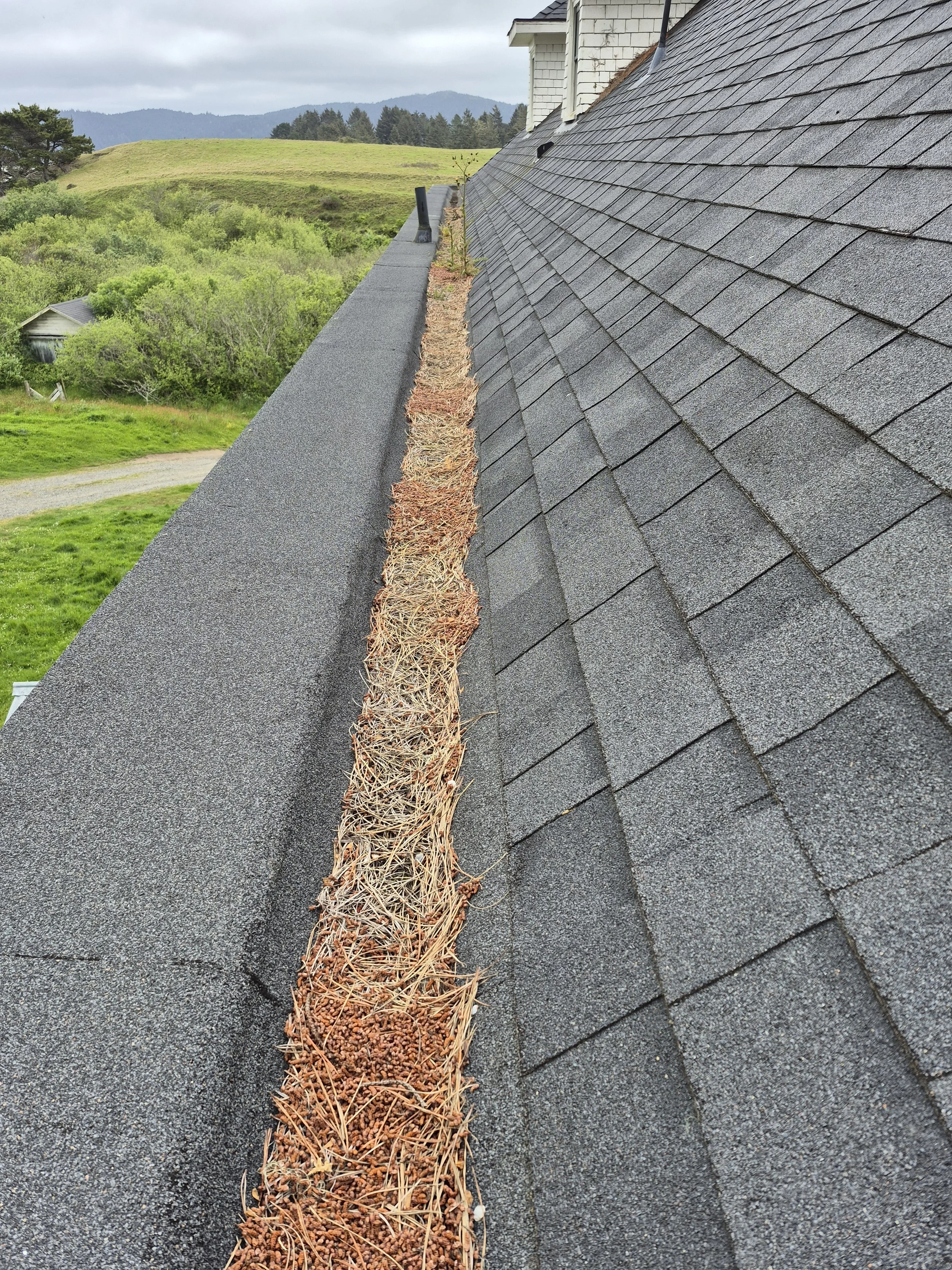 Gutter Cleaning