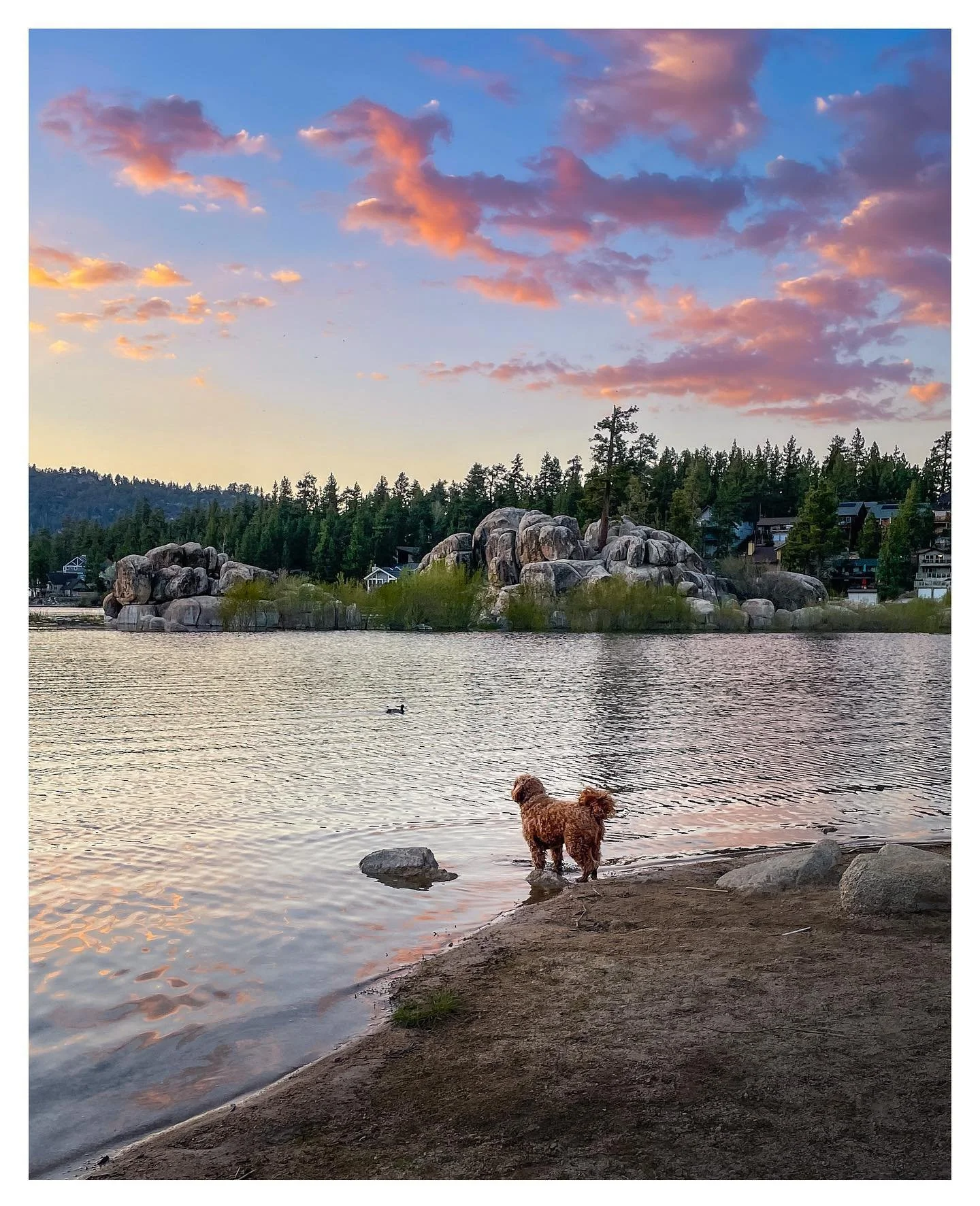 Chasing the light in Big Bear.