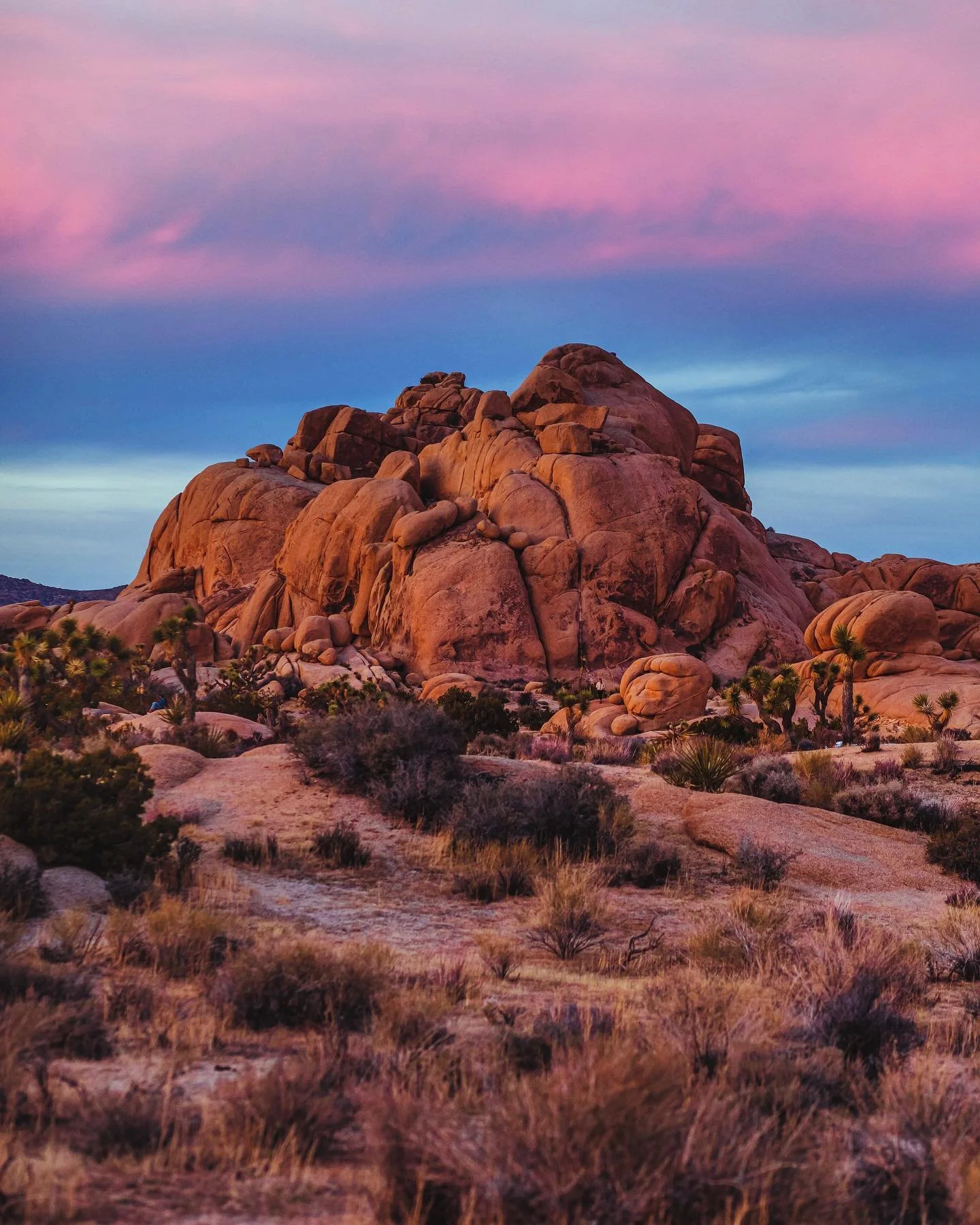 Jumbo Rocks 🪨

📷: Canon 5D Mk ii
📍 Jumbo Rocks, Joshua Tree National Park