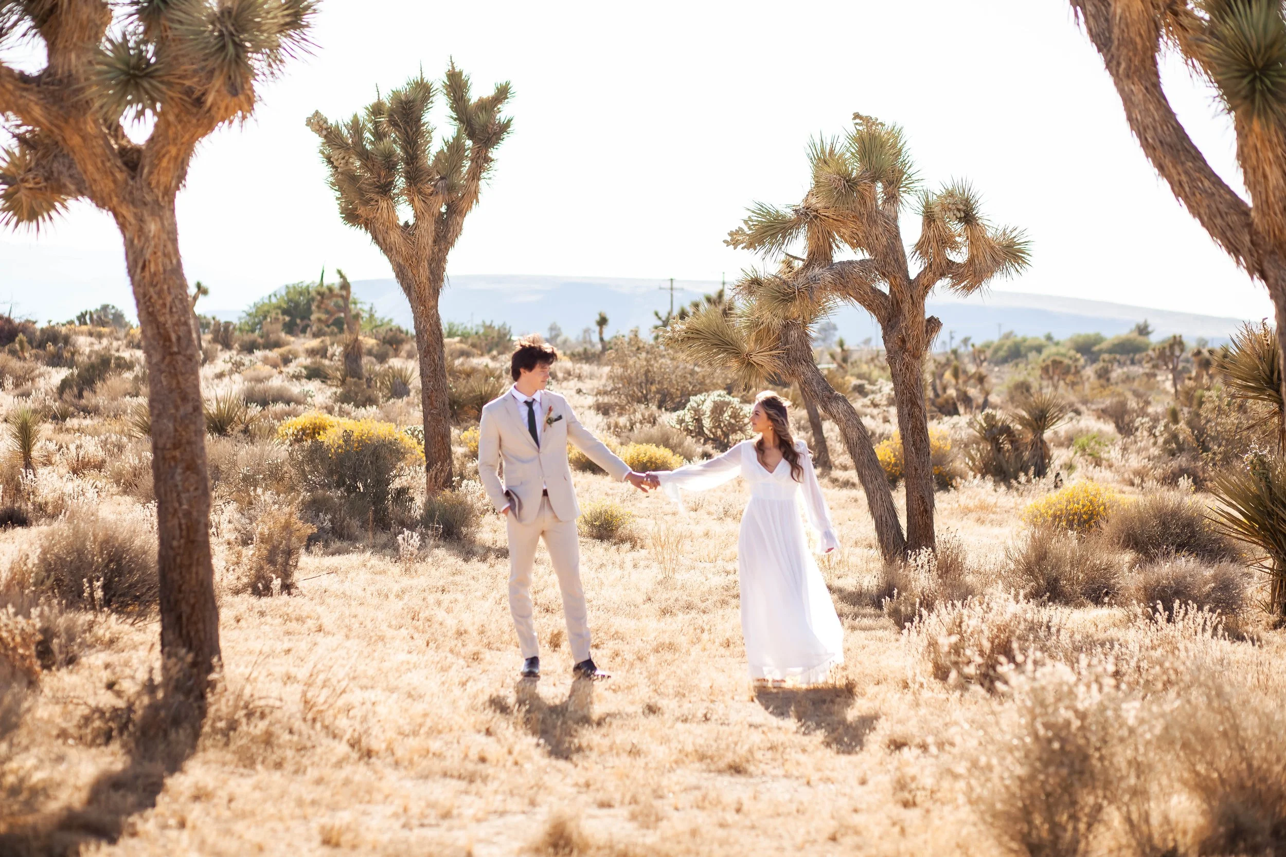A bride and groom holding hands in a desert landscape with Joshua trees and dry shrubbery.