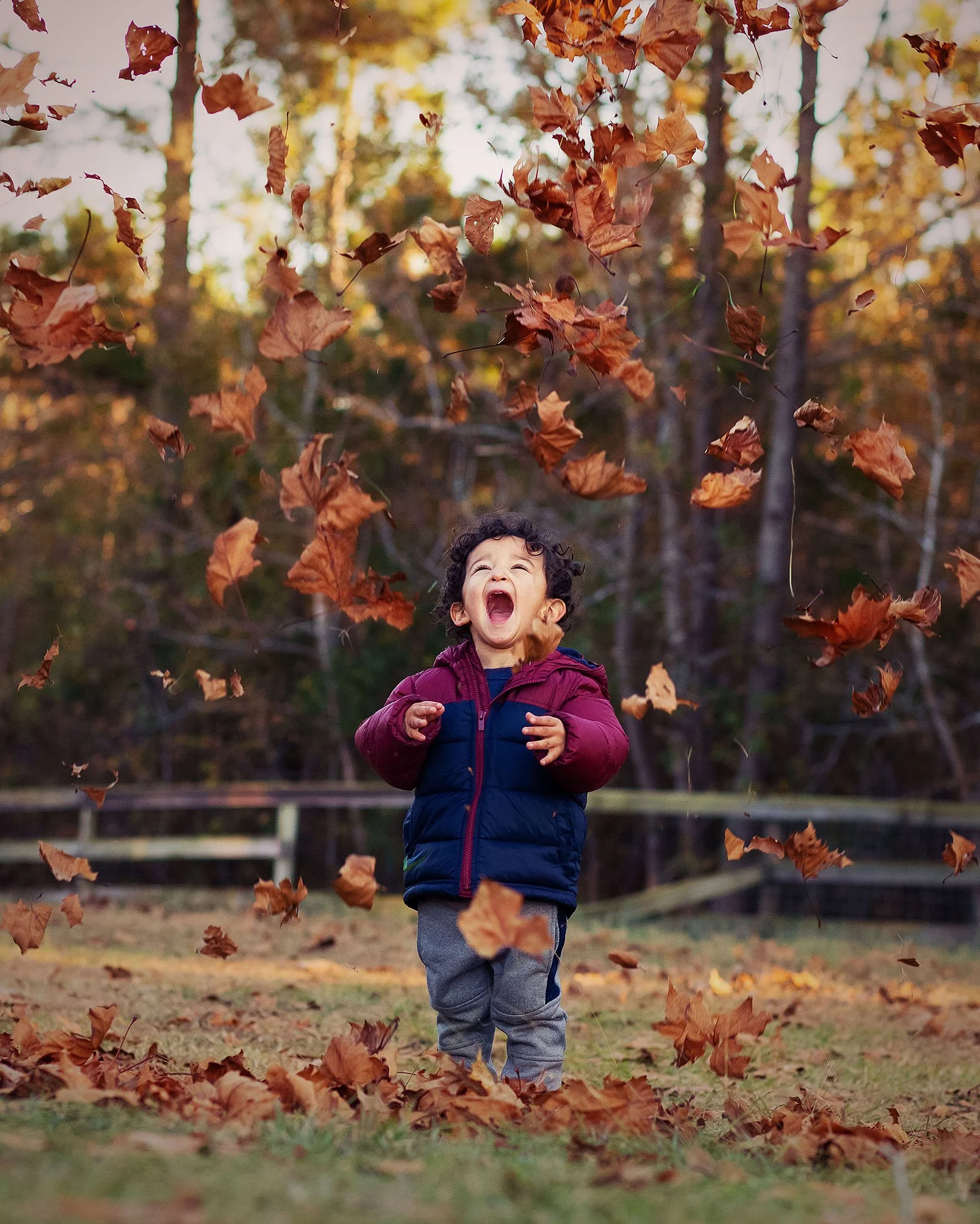 _MG_0074-Edit 1 web.jpg