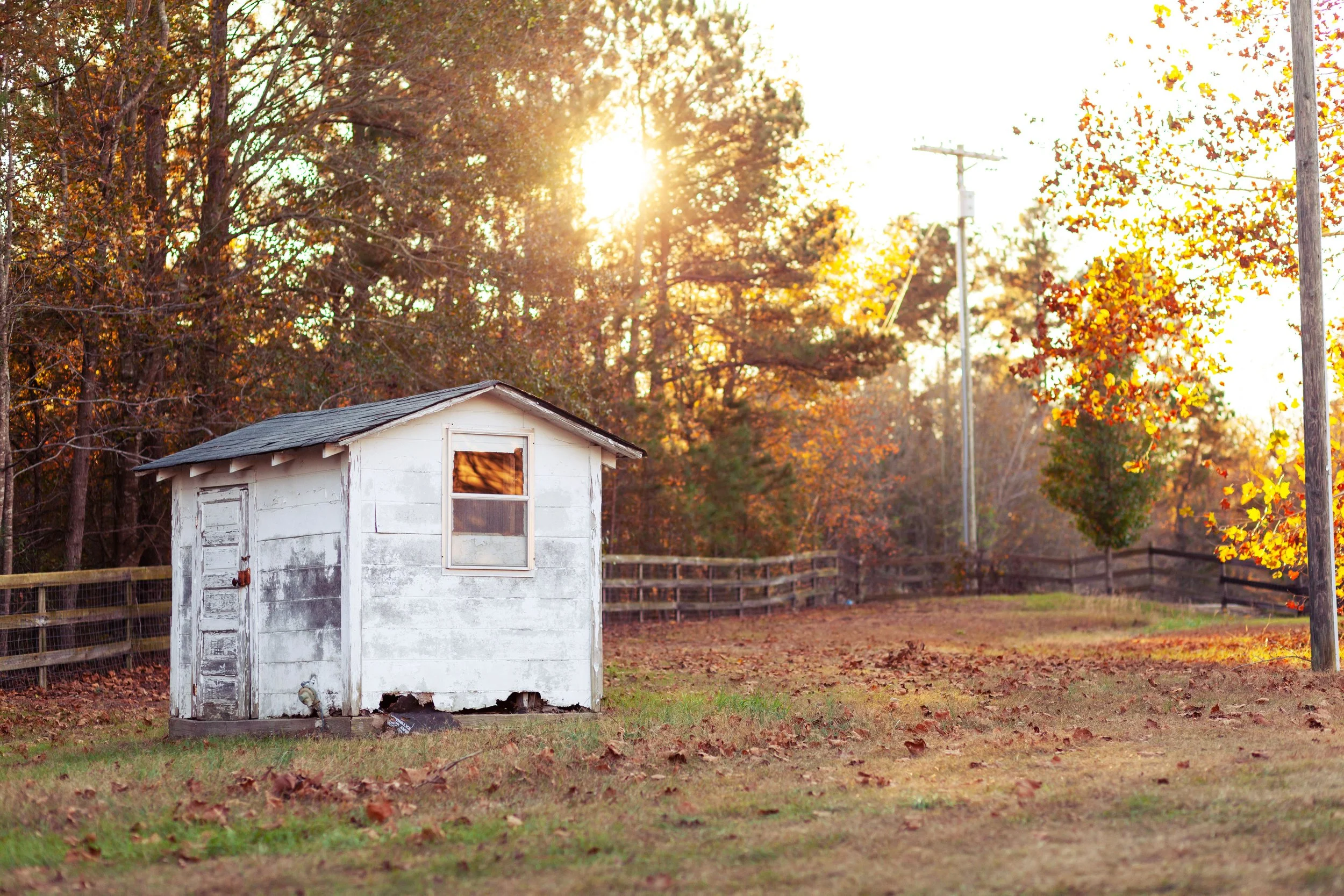 Sunset on the Farm, Sanford, NC.