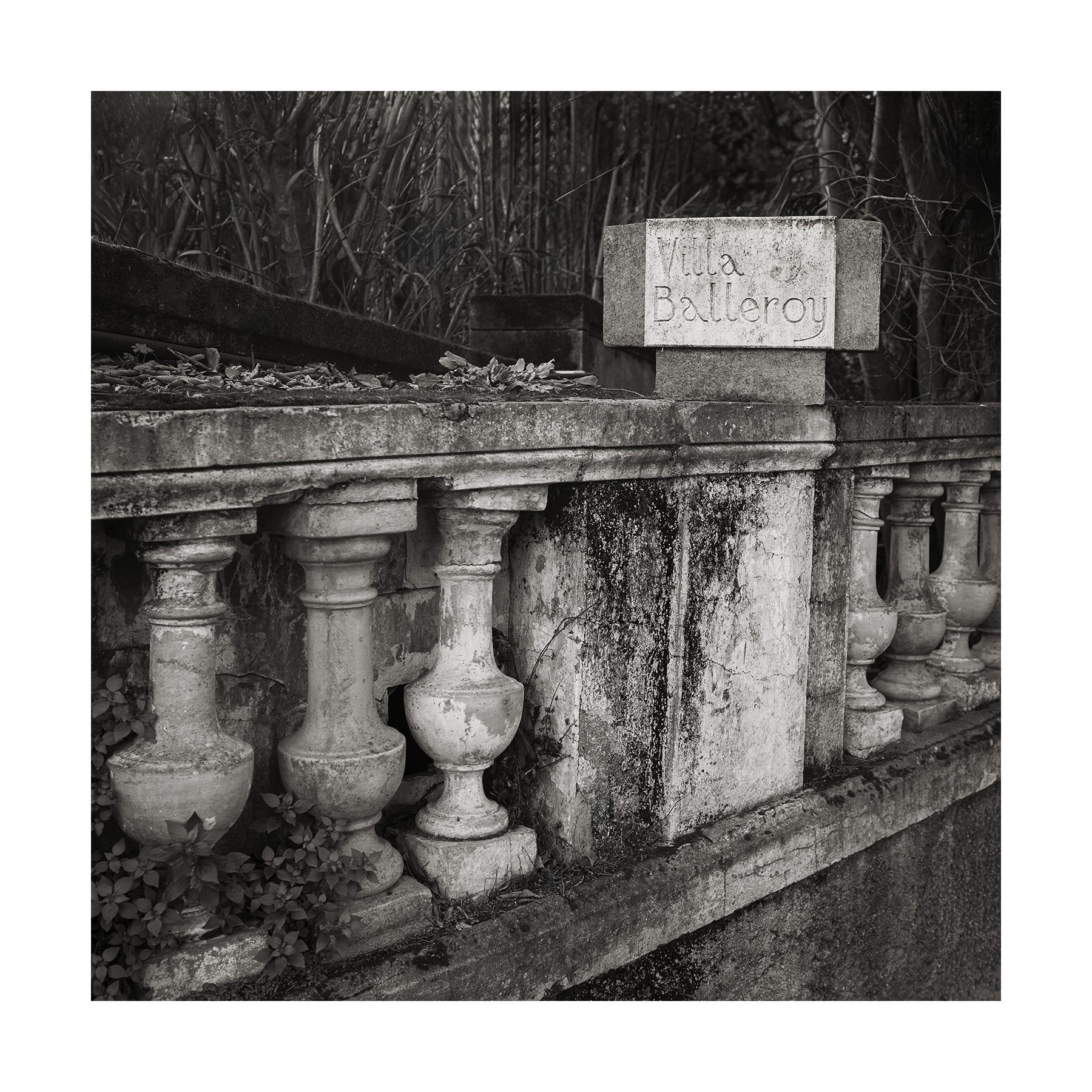 Villa Balleroy, Cannes