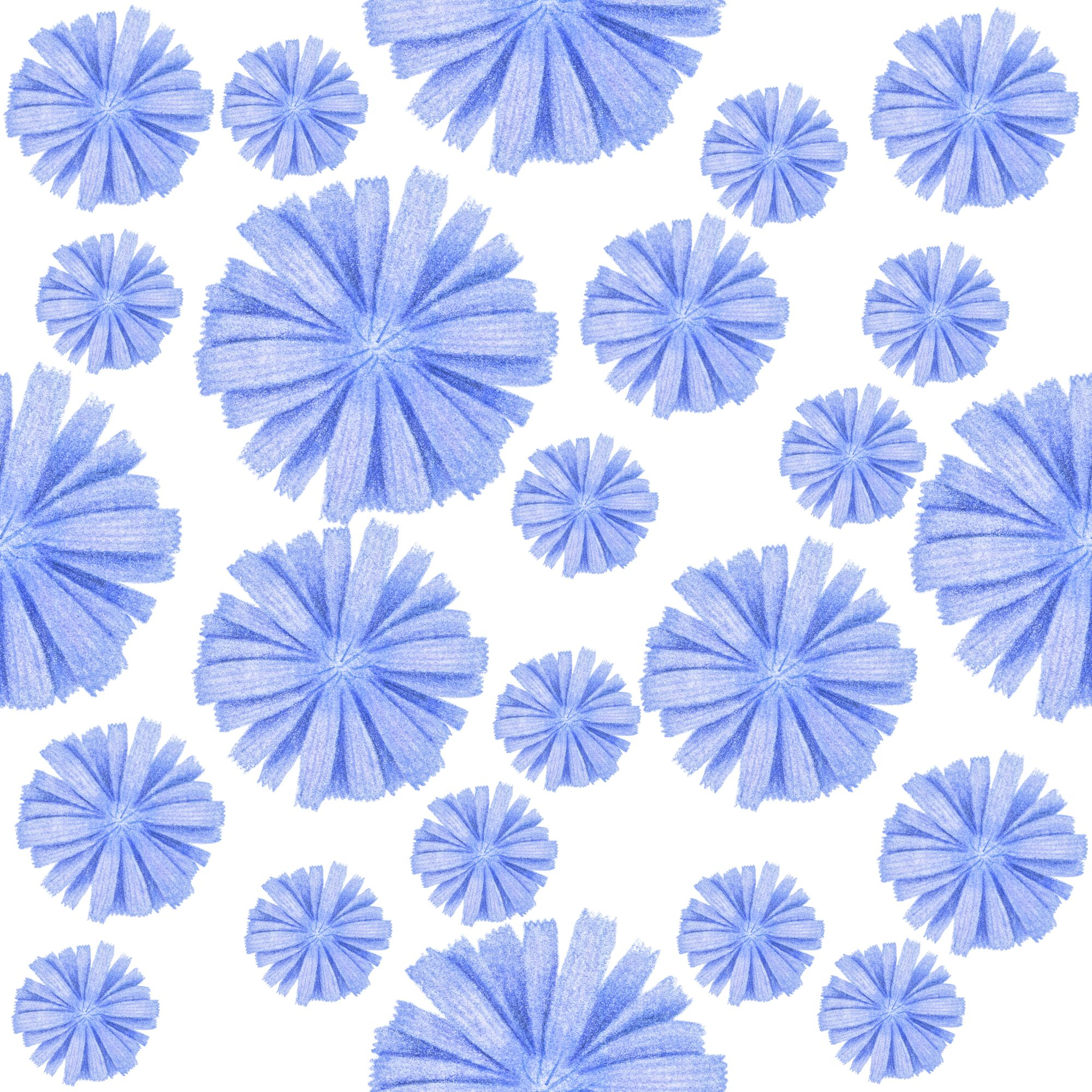 Chicory Repeat.png