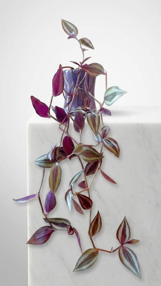 Purple Wandering Dude in 2-Inch Purple Ceramic Planter
