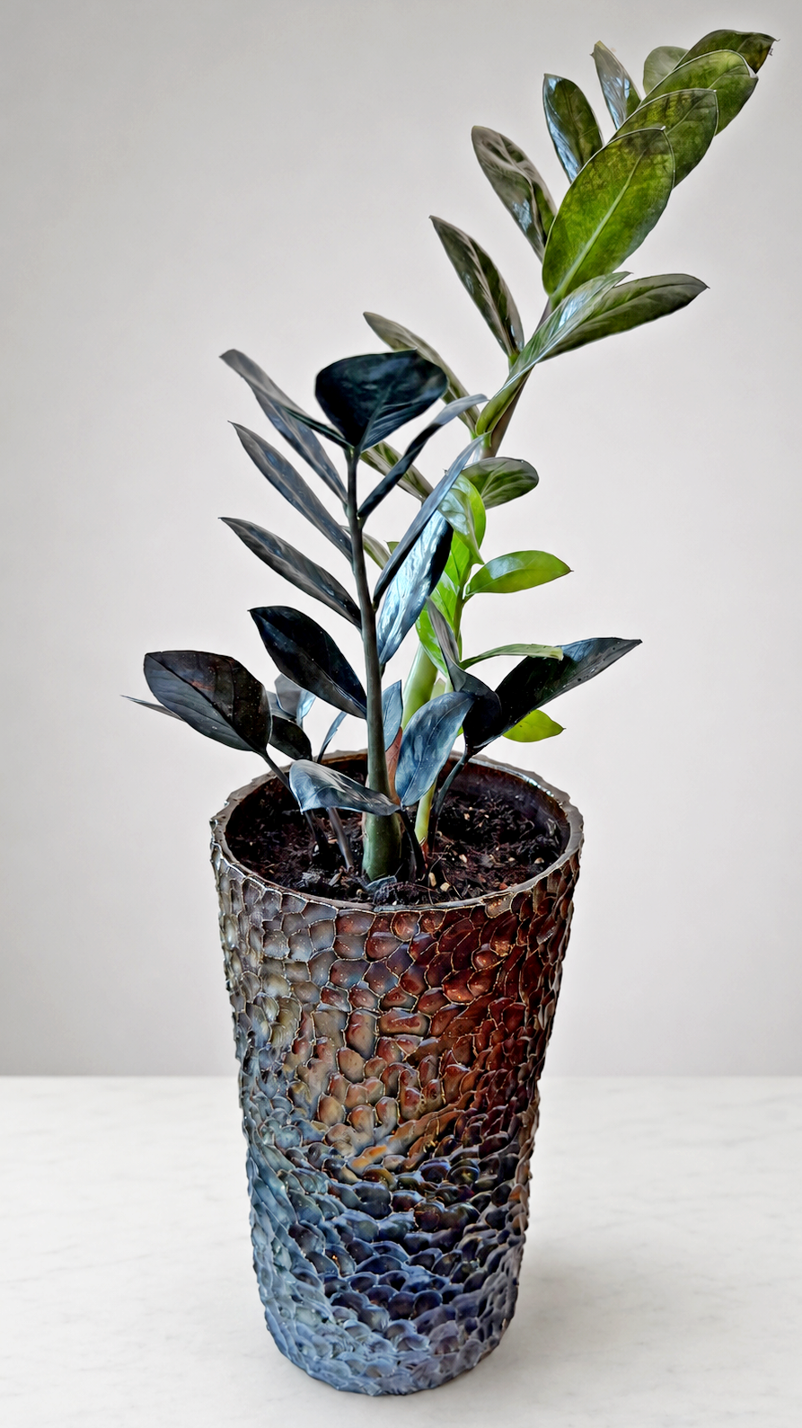 tall pot raven zz 01.png